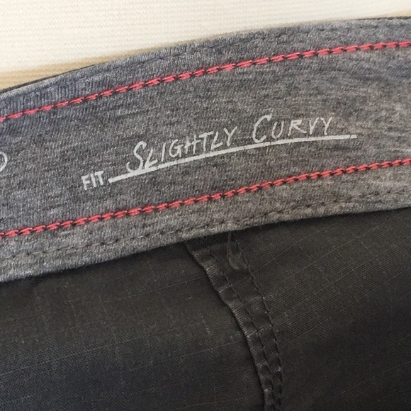 Eddie Bauer - dark gray shorts, slightly curvy - size 2 - Picture 4 of 6